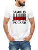 Koszulka męska bawełniana t-shirt MADE IN POLAND